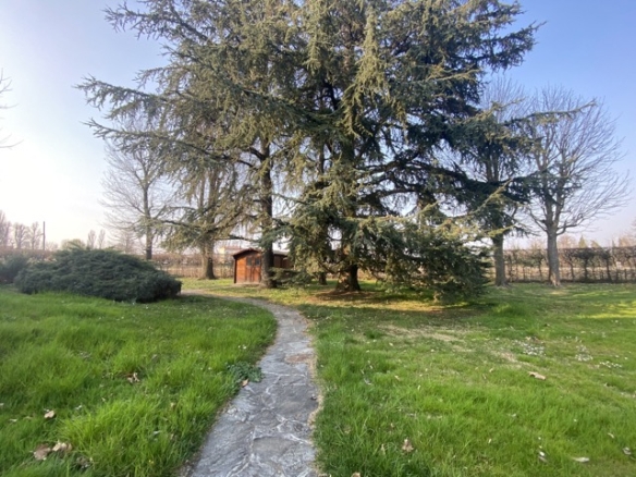 PITTOLO – Villa indipendente