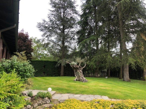 PITTOLO – Villa indipendente